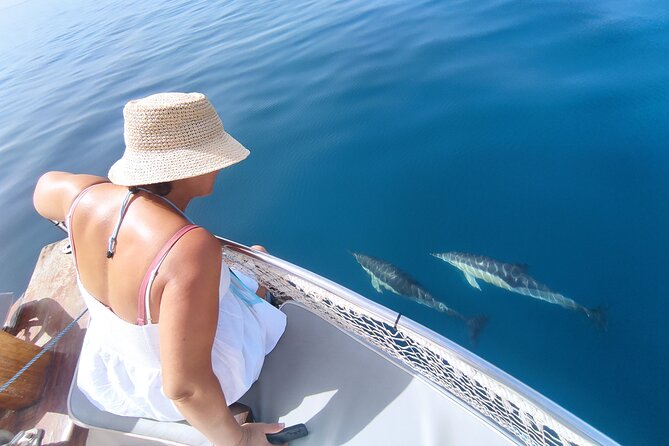 2 h Estepona Bay Tour - At a glance: what makes this boat trip worth considering