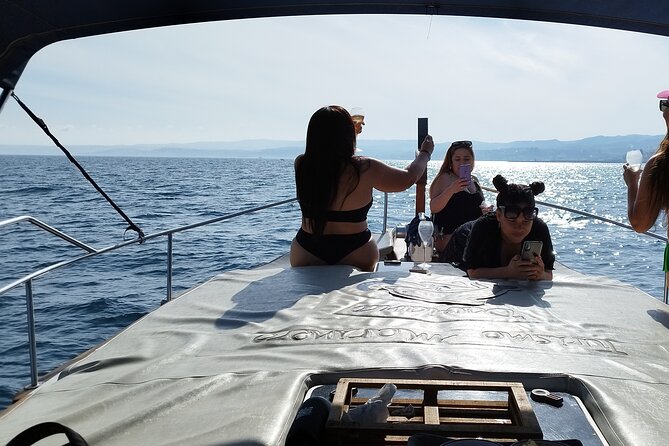 2 h Estepona Bay Tour - What the $45.35 price buys you