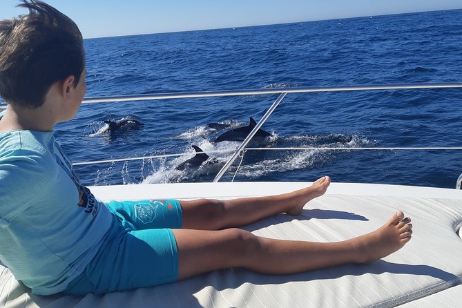 2 Hours Dolphin Watching in Marbella - Key points at a glance
