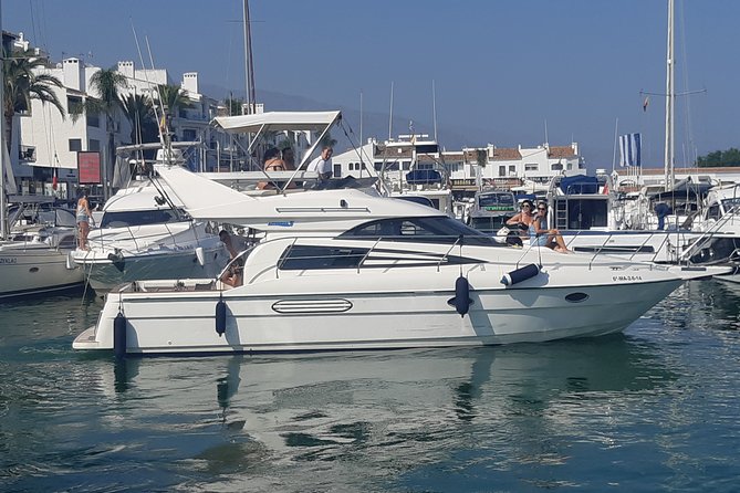 2 Hours Dolphin Watching in Marbella - Snacks, drinks, and what to expect on board