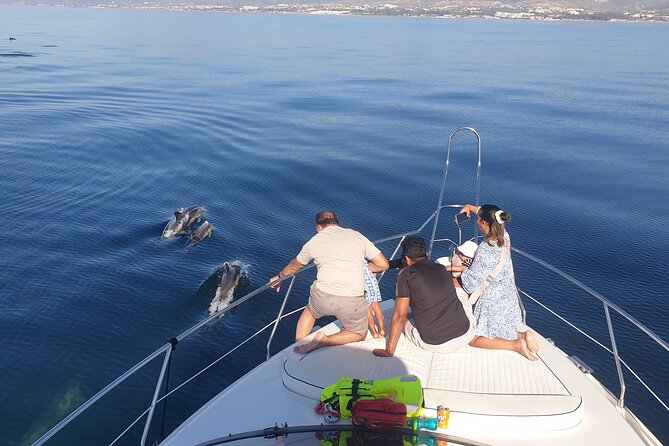 2 Hours Dolphin Watching in Marbella - When the engine stops for swimming