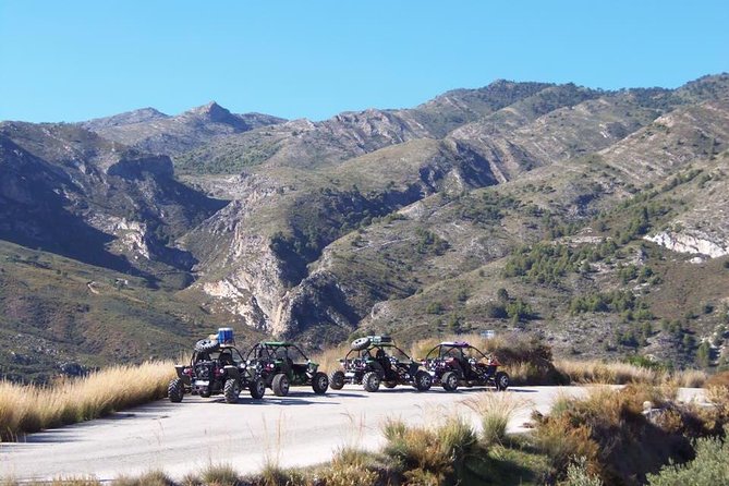 3-hour Buggy Tour in Almuñecar with Picnic - Price, sharing the buggy, and overall value