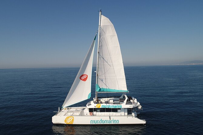 3-Hours Catamaran Tour in Malaga with Paella - Starting at Málaga’s Muelle Uno