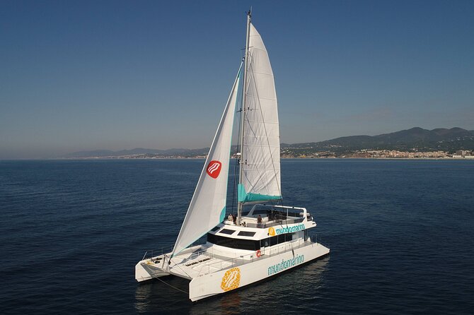 3-Hours Catamaran Tour in Malaga with Paella - Useful details for a smoother afternoon