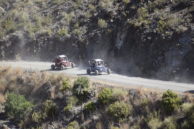 3 Hours Guided Buggy Safari Adventure in the Mountains of Mijas - What the Bumpy Sections Are Really Like
