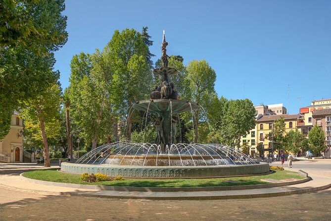 Alhambra and Albaicin Private Day Trip from Malaga - Who should book this Granada day trip?
