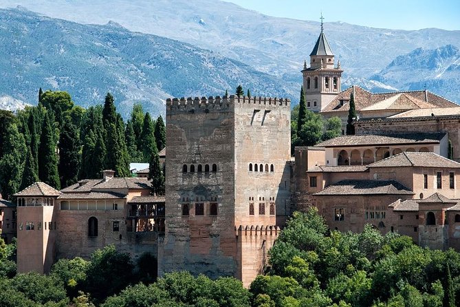 Alhambra and Granada Private Tour from Marbella, Malaga and port - What the private guide adds