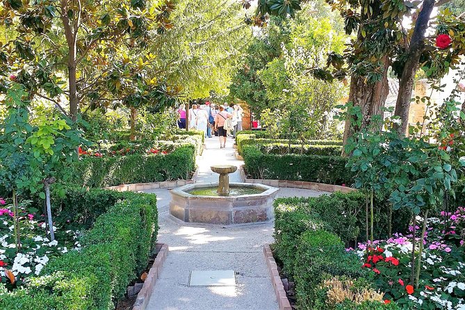 Alhambra Private Tour Hotel or Shore Pickup in Marbella or Malaga - Guide quality and the value of a private group