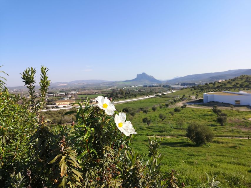 Antequera: Dolmens and El Torcal Tour with Transfer - Why the dolmens and El Torcal belong together