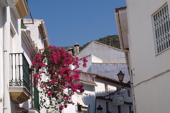 Authentic Andalusia - Jeep Eco Tour (pick up from Marbella - Estepona) - Ojén, a white village with a small cave