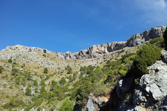 Authentic Andalusia - Jeep Eco Tour (pick up from Marbella - Estepona) - Is $139.07 a fair price?