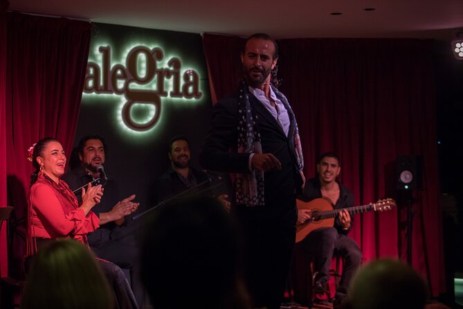 Authentic flamenco show. Alegria and gastronomy Malaga - The small theater: closeness with a trade-off