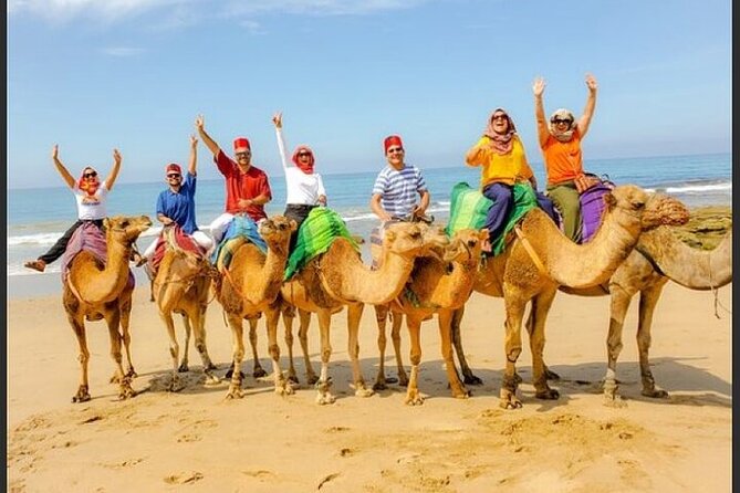 Authentic Private Tangier Tour from Estepona Camel Ride & Lunch - Key things to know before crossing to Morocco