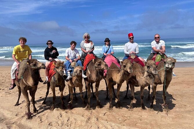 Authentic Private Tangier Tour from Estepona Camel Ride & Lunch - From Estepona to Tarifa, then across the Strait