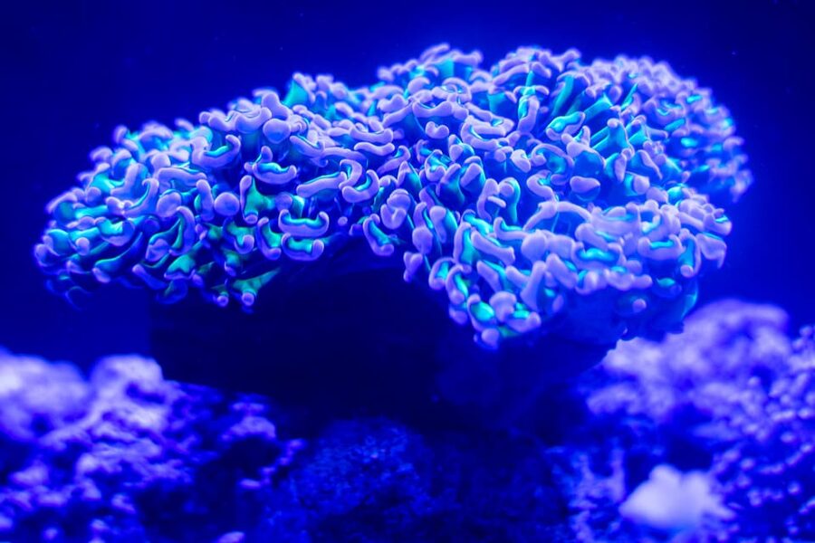 Benalmadena Aquarium Visit - Who will enjoy this aquarium most?