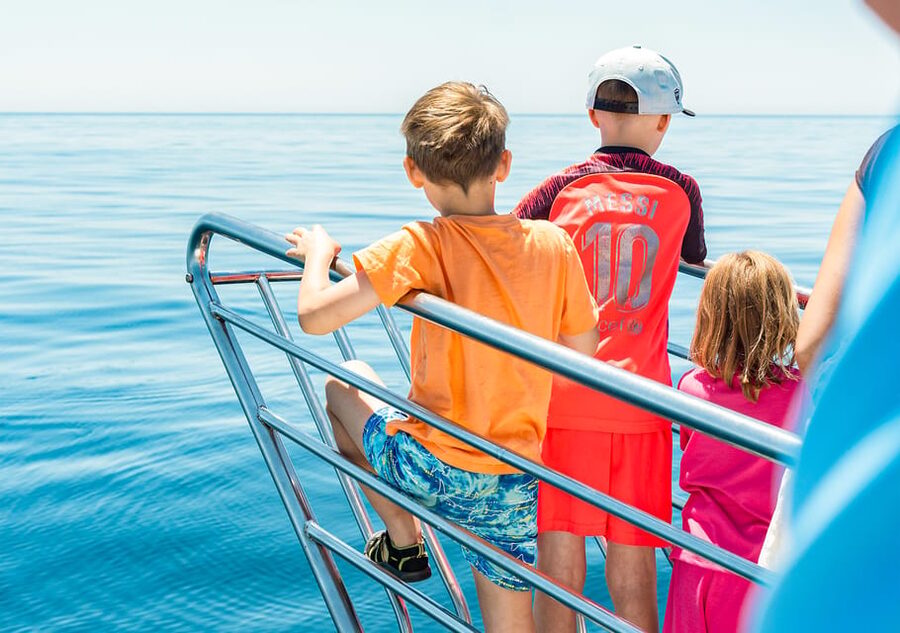 Benalmadena: Dolphin Watching Boat Tour - What the ride feels like in rougher water