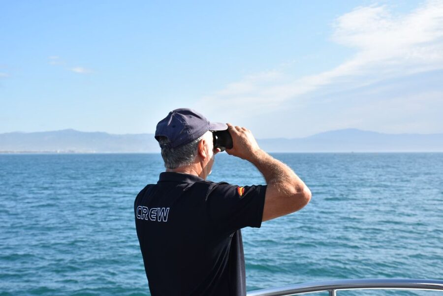 Benalmadena: Dolphin Watching Boat Tour - A family outing with genuine child appeal