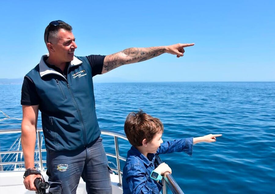 Benalmadena: Dolphin Watching Boat Tour - The wildlife search is the real event