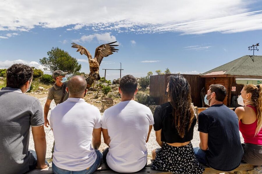 Benalmádena: Mount Calamorro Cable Car Ticket - Who will enjoy Mount Calamorro most?