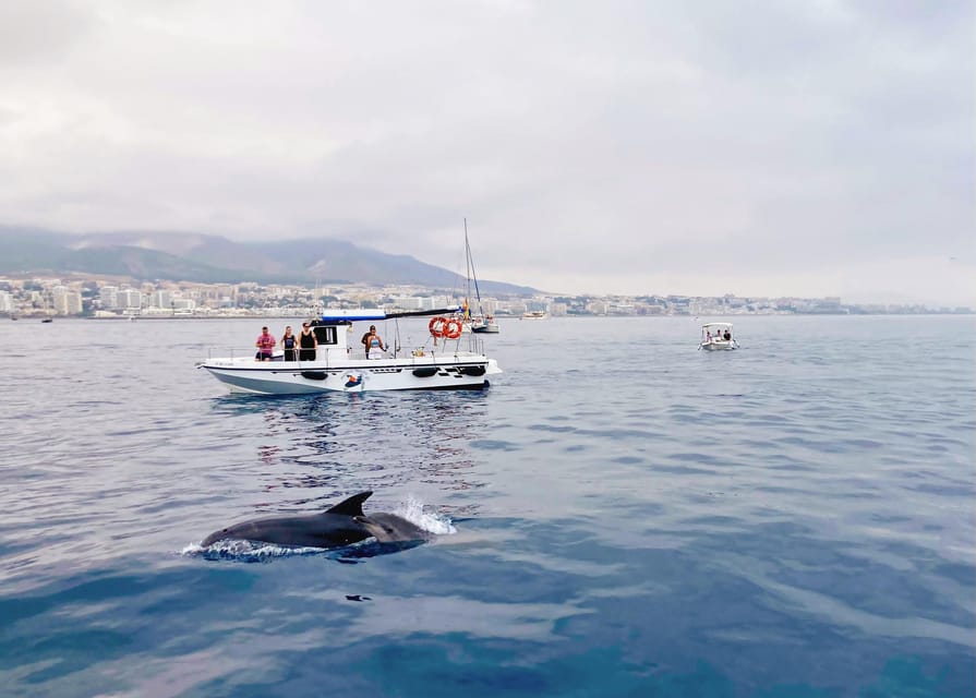 Benalmadena: Private Boat Trip with Drinks & Snacks - Fishing from the Costa del Sol coast