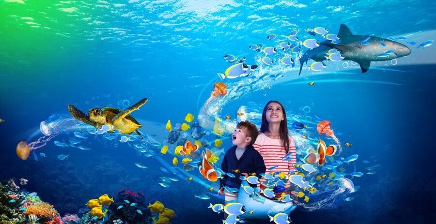 Benalmádena: Sea Life Benalmádena Premium Entry Ticket - The Gold card and Puerto Marina offers