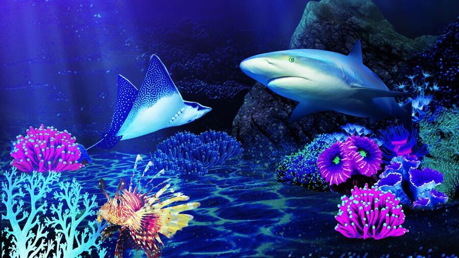Benalmádena: Sea Life Benalmádena Premium Entry Ticket - Who will enjoy this visit most?