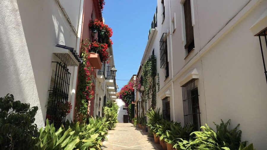 Best of Málaga: Private Walking Tour with a Local - How the Private Format Changes the Walk