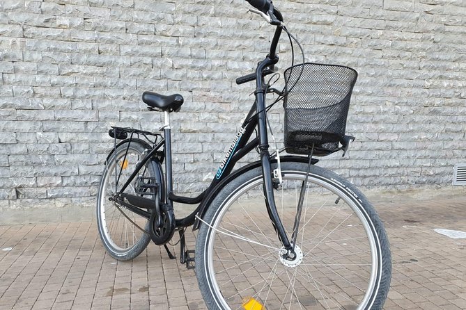Bike Rental in Malaga - The port and Palmeral de las Sorpresas