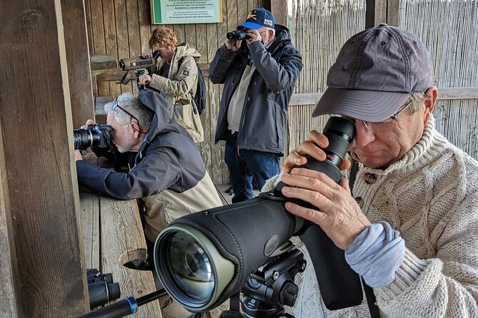 Birding Costa del Sol Day tour - Punta de Calaburras and the coast