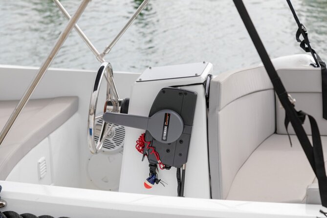 Boat Rental Without License in Benalmádena - Cruising the Costa del Sol and searching for dolphins