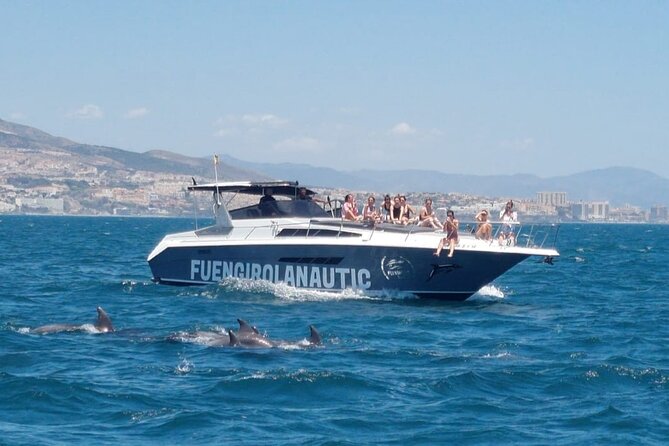 Boat Trip in Fuengirola, Dolphin Watching and Drinks - Dolphin watching, with no guarantee of a sighting