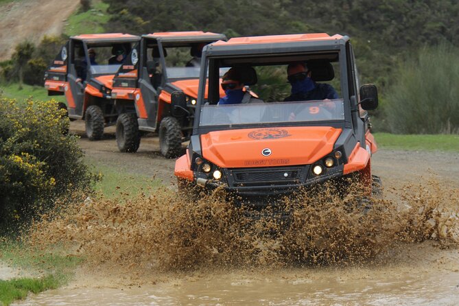 Buggy Adventure with Incredible Views of the Sea and the Reservoir - Key points before you book