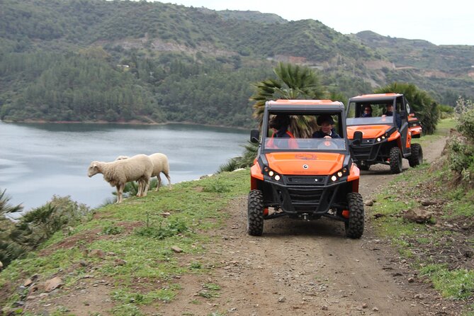 Buggy Adventure with Incredible Views of the Sea and the Reservoir - Istán and the main photo viewpoints