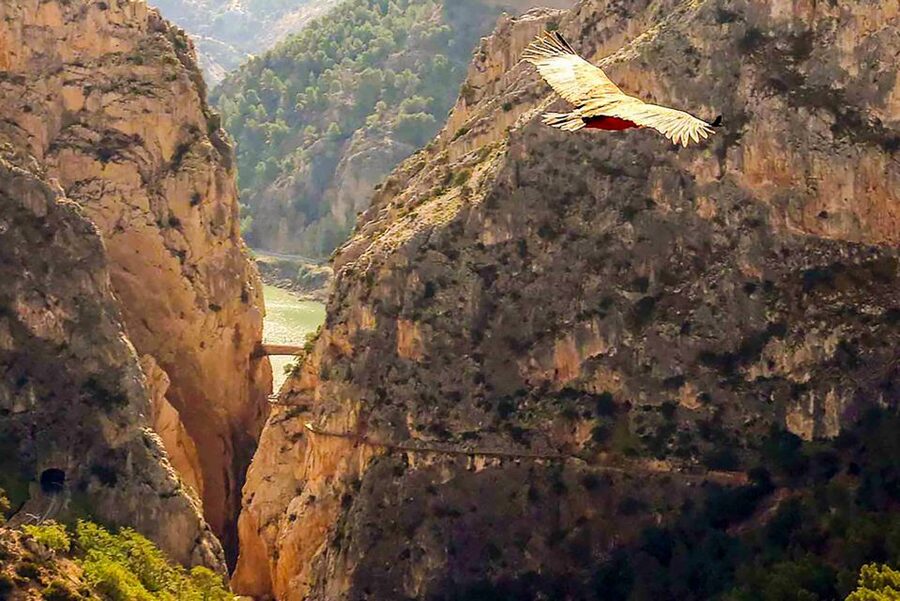 Caminito del Rey: Entry Ticket - What the Caminito del Rey actually feels like
