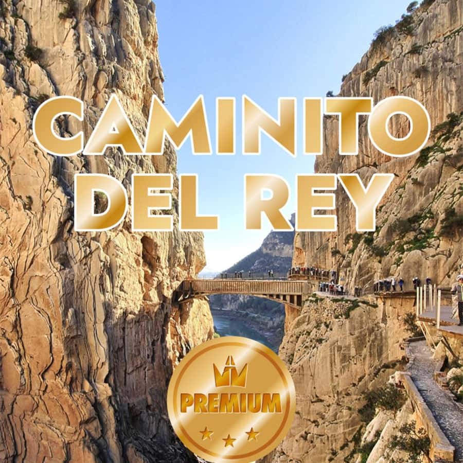 Caminito del Rey from Malaga all included - Key points at a glance