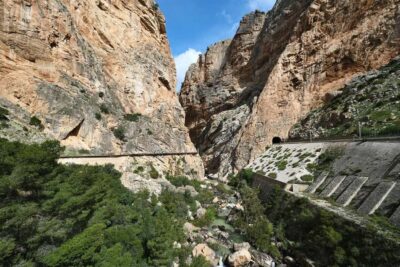 Guided Tour with 1 Drink and Shuttle Bus
