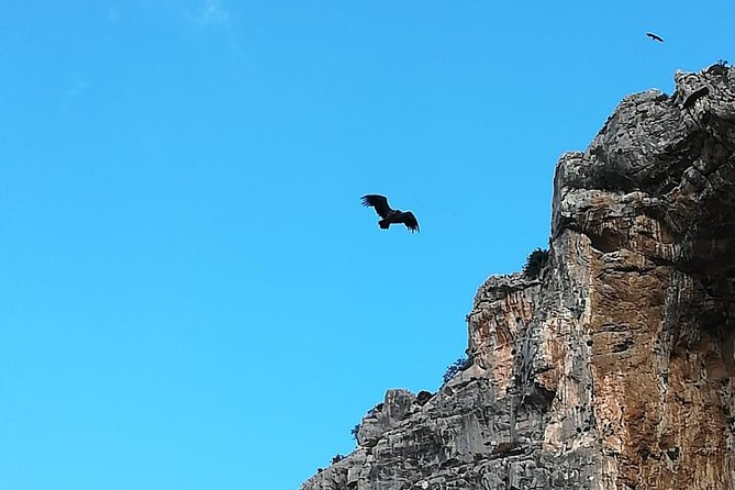 Caminito del Rey Trekking Walkway - The one-way route and return transport