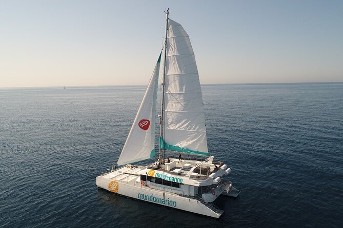 Catamaran tour with swimming stop in Malaga - Key points to know before boarding
