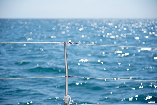 Catamaran tour with swimming stop in Malaga - Why the front nets are worth seeking out
