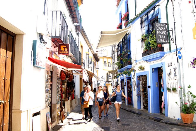 Cordoba and its Mosque from Málaga with Private Transfer - The 9:00 a.m. pickup and private minivan