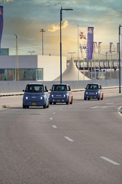 Cruise Terminal Pickup: Málaga in 2 Hours by Electric Car - Paseo del Parque and Málaga’s civic center