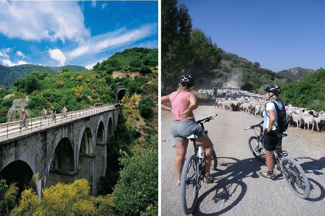 Cycling - Via Verde de la Sierra - 36km - Easy Level - Look up for Griffon vultures