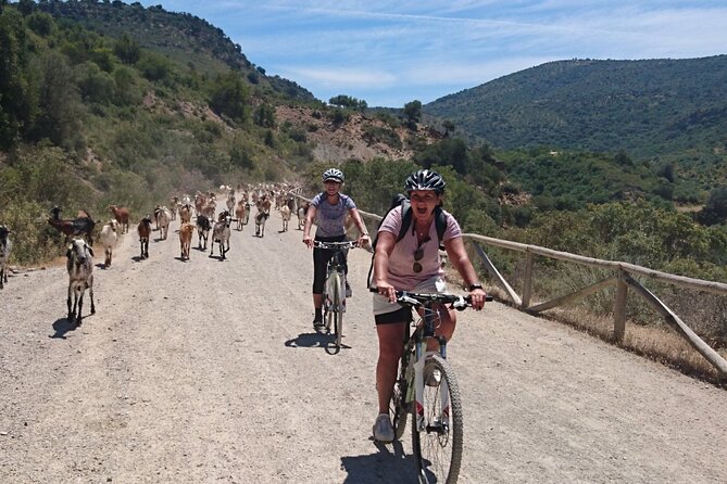 Cycling - Via Verde de la Sierra - 36km - Easy Level - Two former stations provide a welcome pause