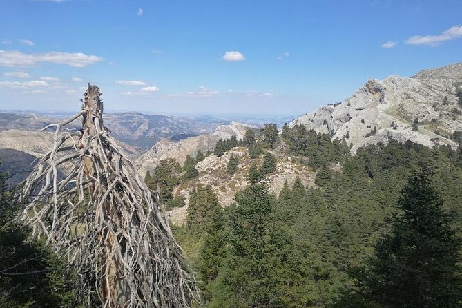 Dayhikes with pick-up from Marbella and Estepona - Choosing the right walking day