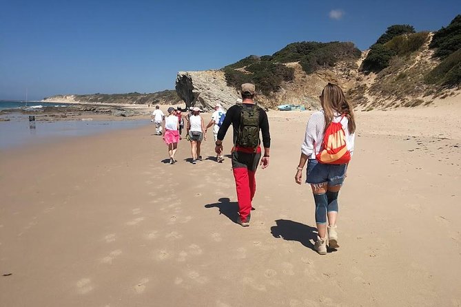 Dayhikes with pick-up from Marbella and Estepona - Butterflies, cork trees, and village life