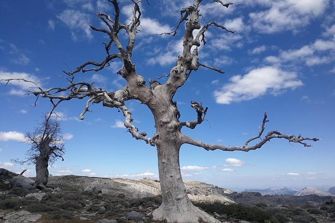 Dayhikes with pick-up from Marbella and Estepona - Who will enjoy this most