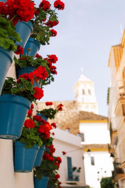 Discover Marbella's Old Town with five-star private tour - Meeting at Alameda Park