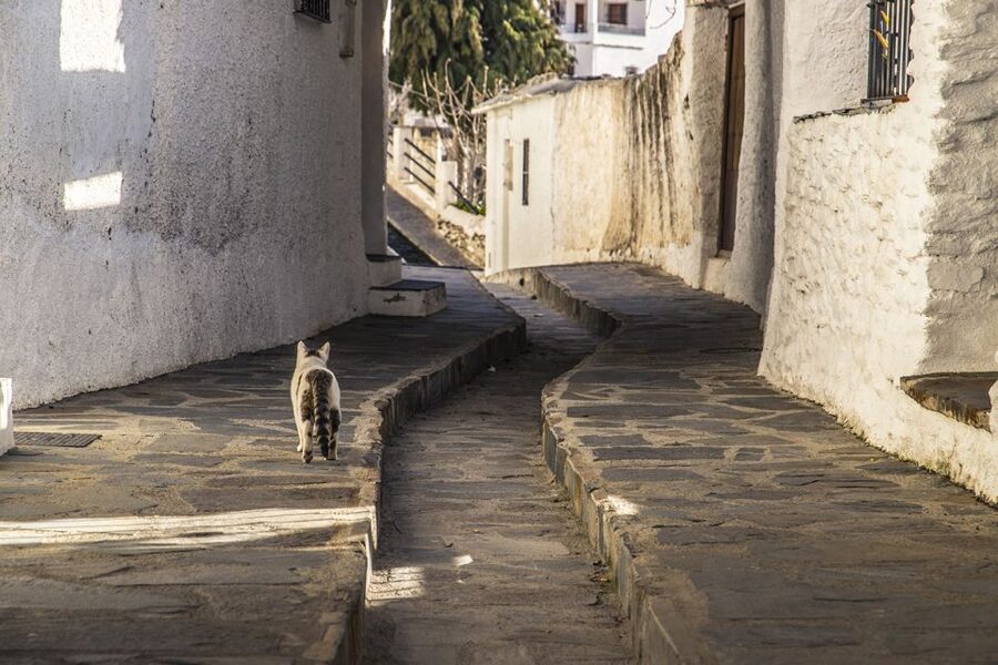 Discovering Las Alpujarras from Málaga - SemiPrivate - Lanjarón and the Alpujarran mix