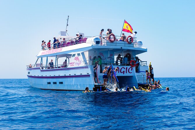Dolphin Sightseeing Boat Tour from Benalmadena - What happens when dolphins appear