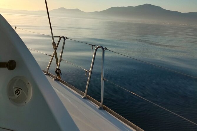 Dolphin trips on a catamaran - A small catamaran from Estepona Marina